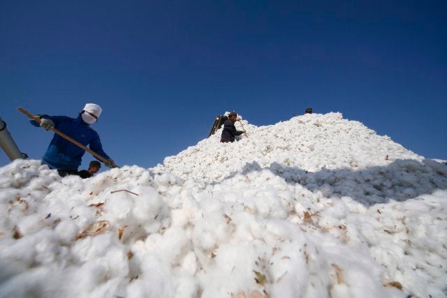 People work amidst massive piles of cotton in China's Xinjiang province. 