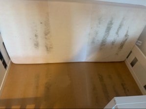 Mold growing on a mattress