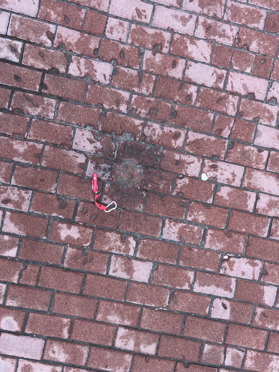 Le schéma des taches observées sur le trottoir devant l'Hôpital régional pour enfants de Tchernihiv, après une attaque russe menée le 17 mars 2022, tendent à valider l’hypothèse de la détonation d'une sous-munition à fragmentation 9N235. Photo prise le 19 avril 2022.