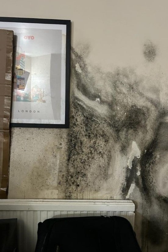 Black mould on a wall 