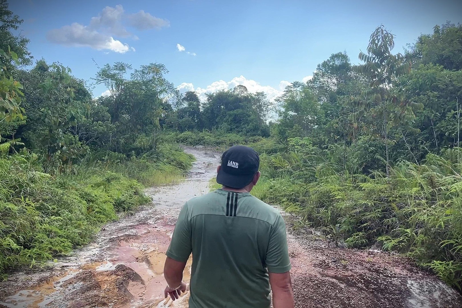A man walks down a path through a rainforest 