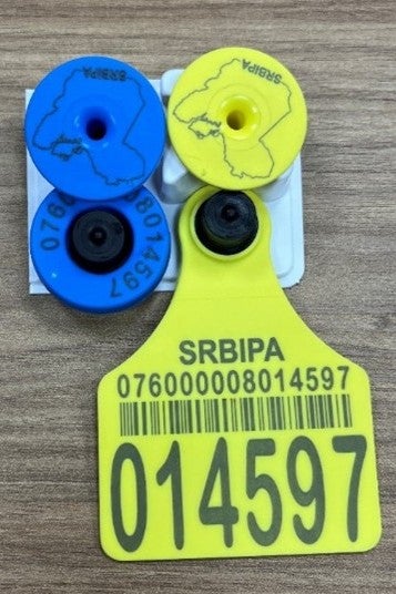 Two ear tags for cattle