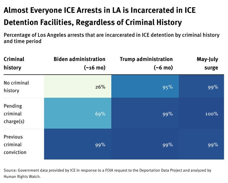 Chart of criminal history for ICE detention 