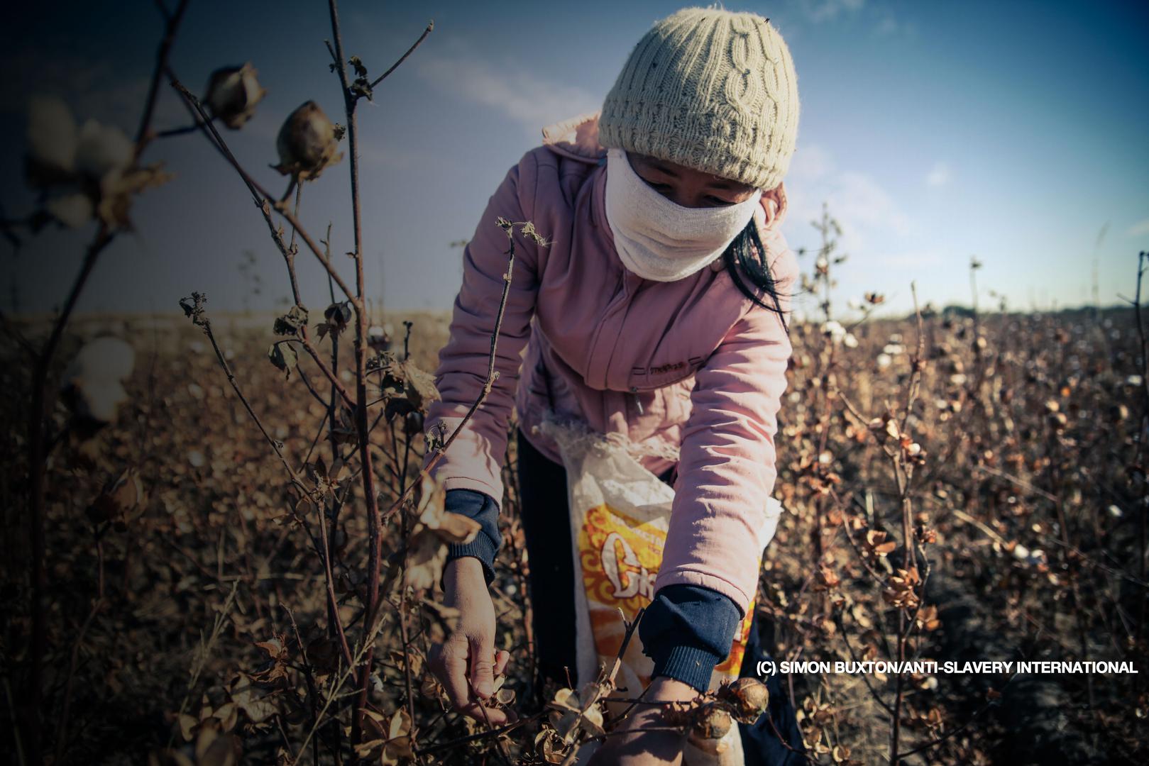 Cotton Uzbekistan
