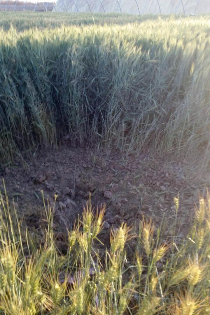 Photo of A crater from the February 22 attack on Qahza, Saada governorate is consistent with damage caused by a submunition from a cluster munition attack. 