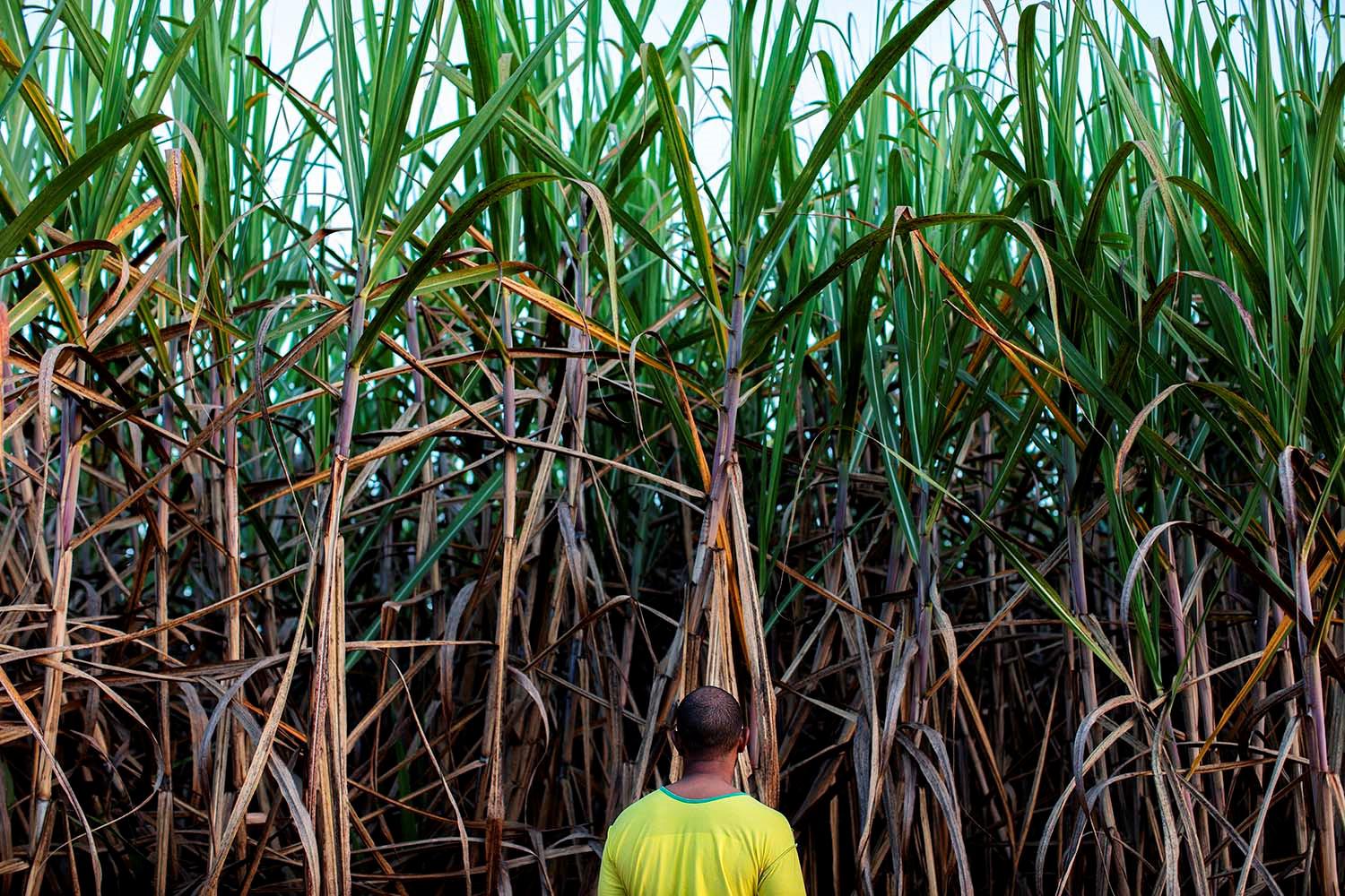Bernardo wuchs in einer quilombo (afro-brasilianische) Gemeinde mit etwa 60 Personen - Männer, Frauen, Kinder - in Minas Gerais im südwestlichen Brasilien auf. Bernardo berichtete Human Rights Watch, dass er sich machtlos fühle, wenn es um die Verbreitung