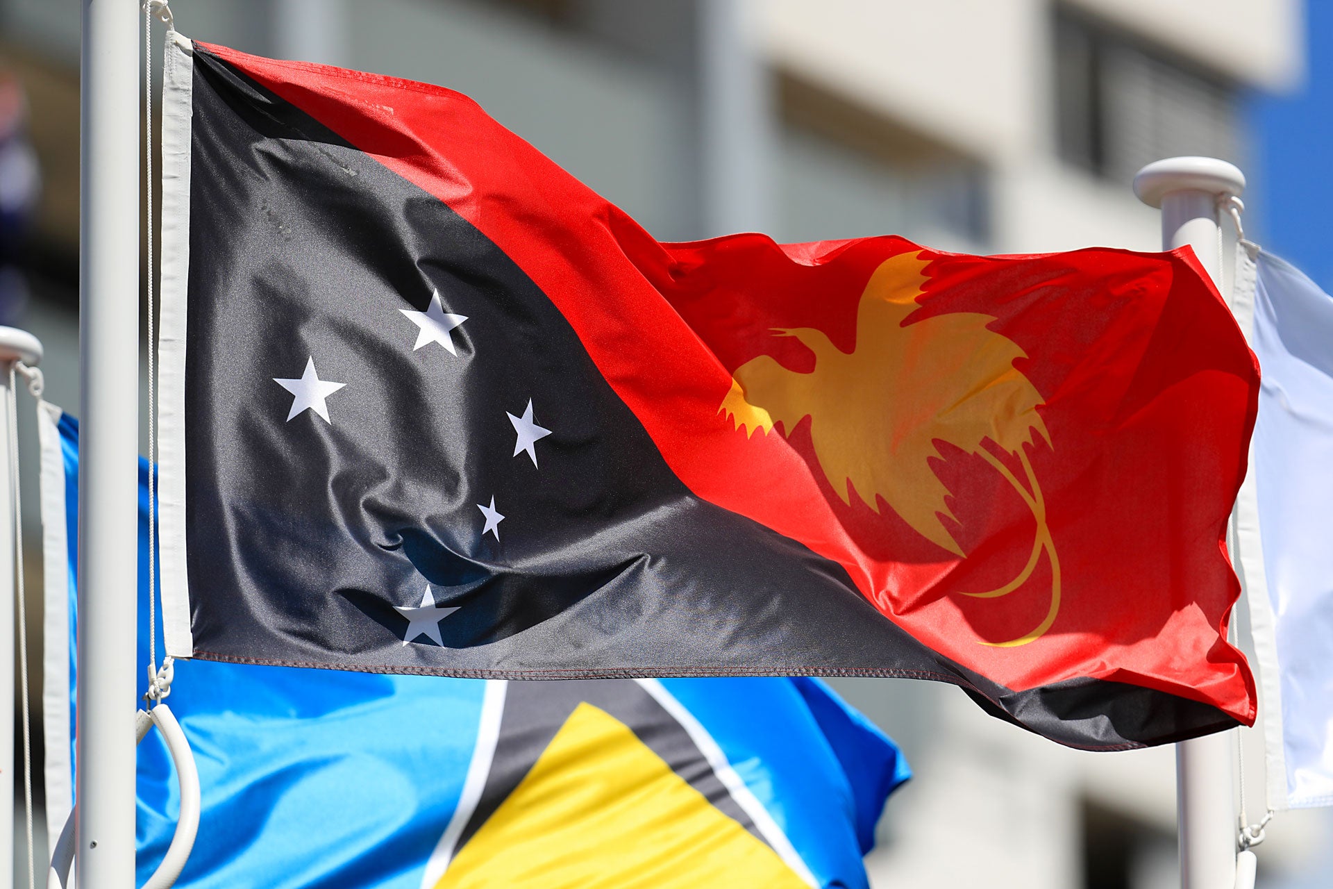 The flag of Papua New Guinea