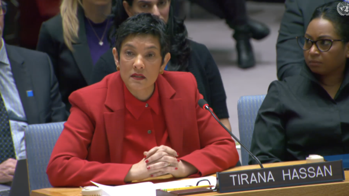 Remarks Delivered at a UN Security Council Meeting on Haiti by Tirana Hassan, Executive Director at Human Rights Watch. 