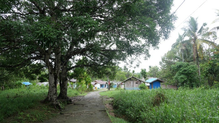 The road into Ampera village, Mandobo district, Boven Digoel Regency. The customary land of the people of Ampera village, located on the banks of the Digoel River, will become the entry point for PT. Indo Asiana Lestari (IAL) to establish its oil palm plantation in the area. 