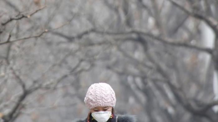 A woman wearing a protective mask makes her way on a heavily polluted day in Beijing, December 26, 2015.