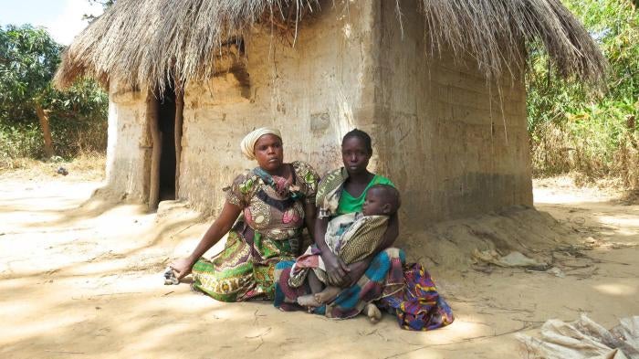 Main image for Zambia Report 