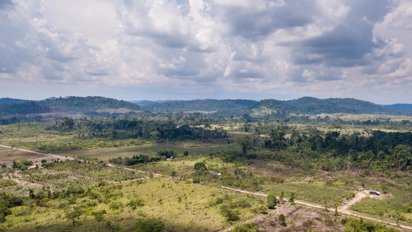  Terra Nossa settlement, where illegal logging takes place, September 30, 2019.
 © 2019 Fernando Martinho/Repórter Brasil