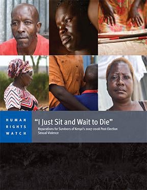 Cover image for Kenya report