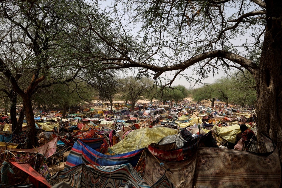 Makeshift shelters for Sudanese refugees who have fled from Darfur, Sudan to Borota, Chad.