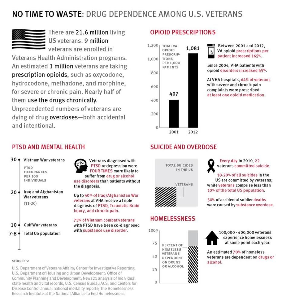 US Veterans Infographic