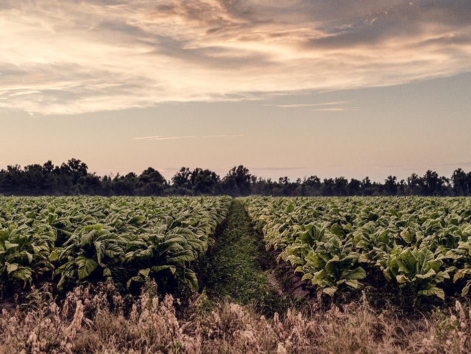 201512_CRD_US_TOBACCO_PHOTO_9