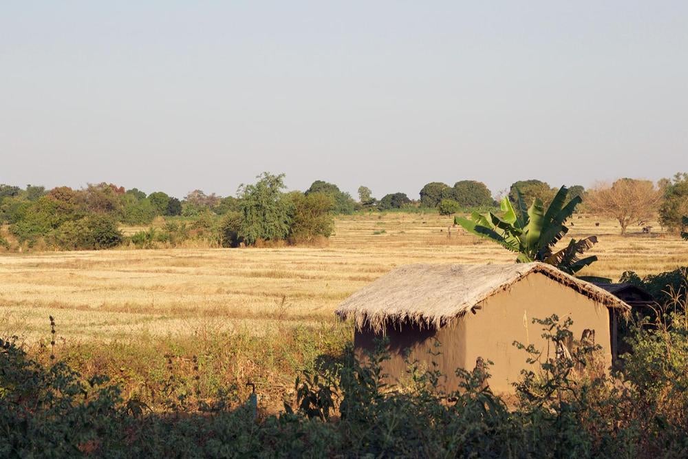 Fields near Eland coal mine, Mwabulambo. Most residents are subsistence farmers who grow rice, maize, cassava, and groundnuts.