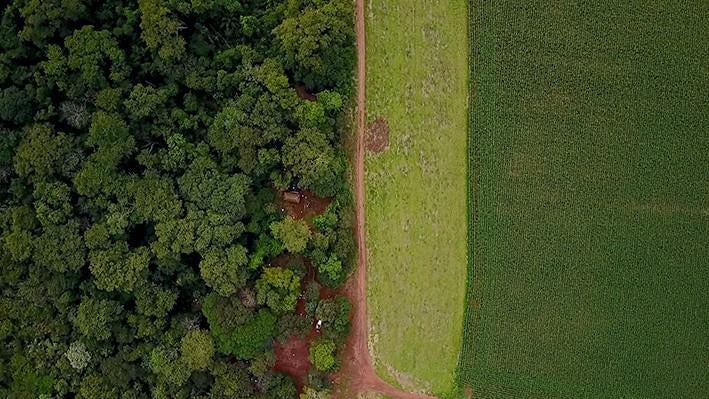 Imagem de drone sobre uma comunidade indígena Guarani-Kaiowá localizada a poucas horas de carro de Campo Grande, capital do estado do Mato Grosso do Sul. A plantação vizinha alterna entre o cultivo de soja e milho.
