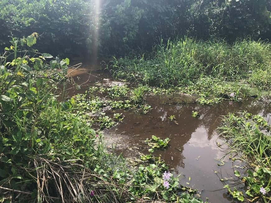 201911ENV_DRC_reportphotos