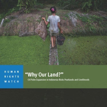 A child carries palm kernels collected from the ground across a creek at an oil palm plantation in Sumatra, Indonesia, November 2017.