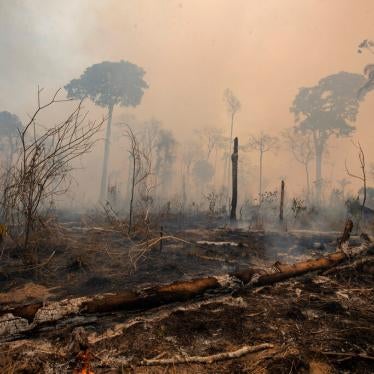Fires near Novo Progresso, Brazil on August 23, 2020, burned land deforested by cattle farmers.