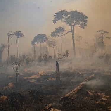 Fire consumes land deforested by cattle farmers ranchers near Novo Progresso, Para Pará State, Brazil, August 2020.