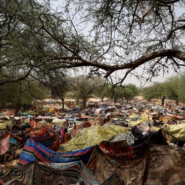 Makeshift shelters for Sudanese refugees who have fled from Darfur, Sudan to Borota, Chad.