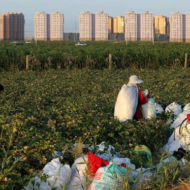 Workers carry bags as they harvest cotton in a field in Hami in western China's Xinjiang Uyghur Autonomous Region, September 21, 2016.