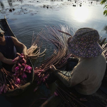 A family collects water lilies from Boeung Tamok lake to sell at the market, Phnom Penh, Cambodia, January 14, 2025.
