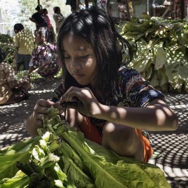 An 11-year-old girl ties tobacco leaves onto sticks to prepare them for curing in East Lombok, West Nusa Tenggara.