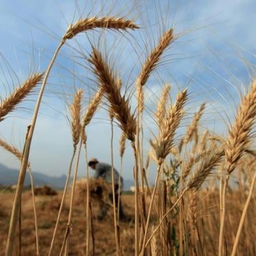 A farmer harvests wheat at a field on the outskirts of Islamabad, Pakistan, May 6, 2016.