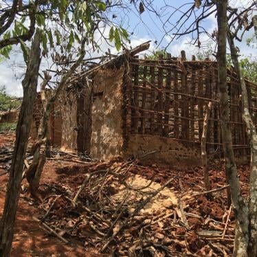 A picture of a burned down house in western Ivory Coast.