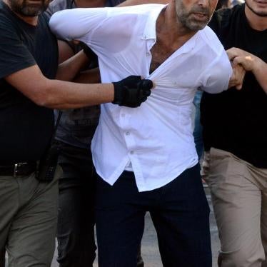 Main image for Turkey Report