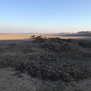 Mass grave site near Bardiya village visited by Human Rights Watch on January 30.   © 2018 Belkis Wille/Human Rights Watch