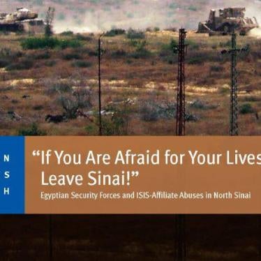 201905MENA_Egypt_SinaiReportCover_FR