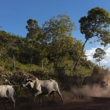 201909AME_Brazil_Rainforest_Defenders_photo
